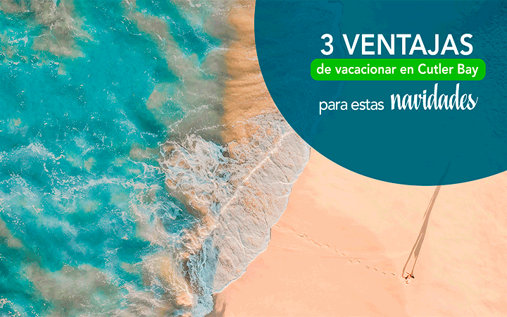 Vista aerea de playa tropical en Cutler Bay Florida - 3 ventajas de vacacionar en Cutler Bay en navidades