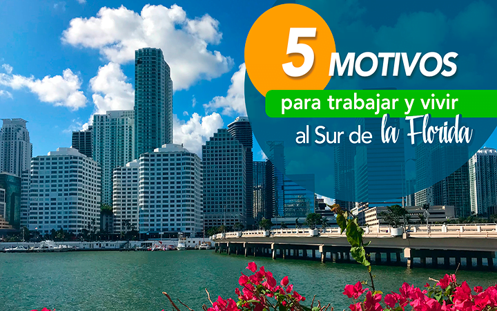 Skyline de Miami con palmeras - 5 motivos para trabajar y vivir en el sur de la Florida