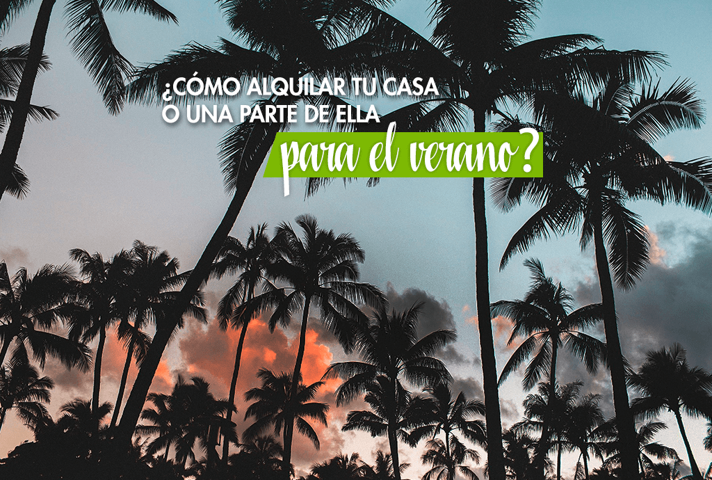 Palmeras al atardecer representando como alquilar tu casa o una parte de ella para el verano en Miami