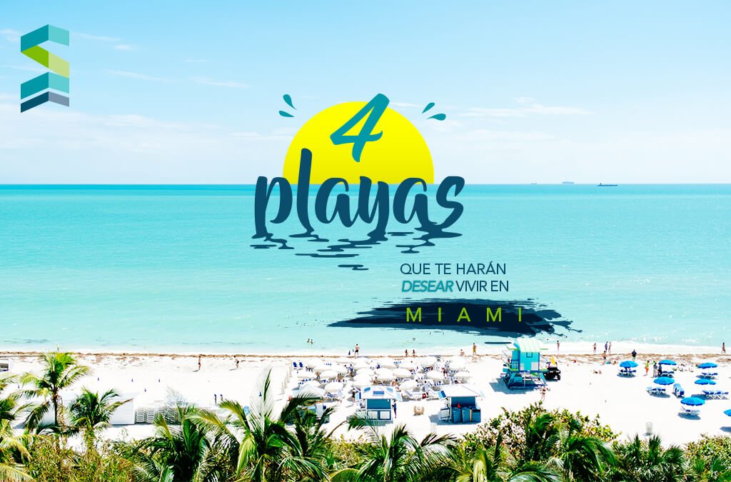 Playa de arena blanca con agua turquesa y palmeras en Miami que haran desear vivir en la ciudad