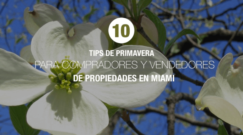 Flores blancas de primavera representando consejos para compradores y vendedores de propiedades en Miami